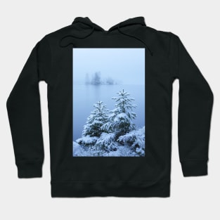 Foggy winter lake and spruce trees Hoodie